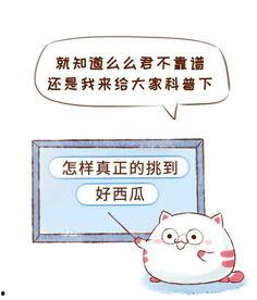 拒做吃瓜群众,主动参与,拒绝吃瓜