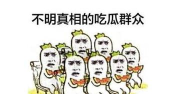 不一样的吃瓜群众,揭秘娱乐圈幕后风云