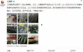 吃瓜群众辣条是真的吗,吃瓜群众热议的辣条，究竟是不是真的？