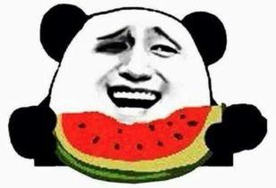 最悲惨的吃瓜群众,最悲惨吃瓜群众的血泪史