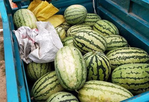 城市吃瓜群众诱惑力太大,瓜群众无法抗拒的美食魅力