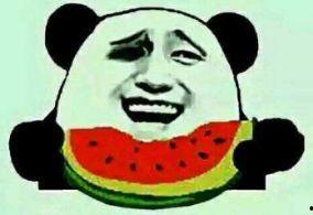 吃瓜群众潜水视频,一场水下奇遇记