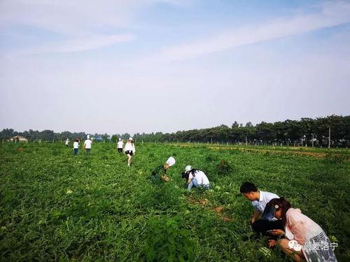 洛宁县城吃瓜群众是谁啊,揭秘县城热议话题背后的神秘人物