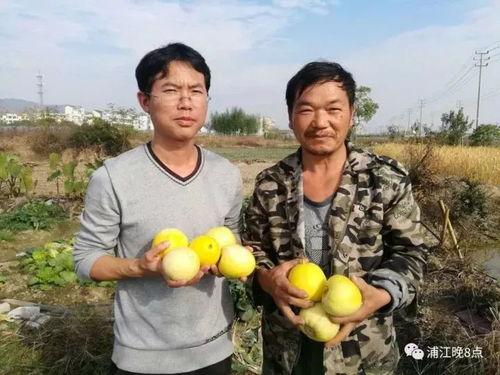 吃瓜群众早田,揭秘娱乐圈幕后风云