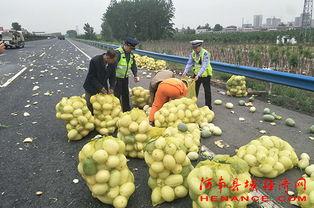 瑞丽吃瓜群众,揭秘娱乐圈幕后故事