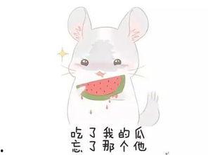 一群不明的吃瓜群众图片,他们是谁？为何如此关注？