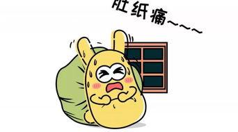 吃瓜群众大头贴,揭秘网络红人的幕后故事