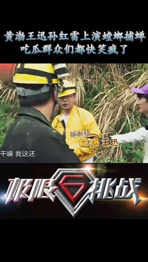 综艺节目吃瓜群众搞笑,笑料横飞，欢乐无限